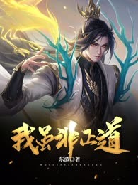 我虽非正道