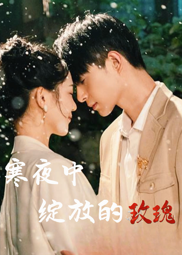 寒夜中绽放的玫瑰