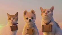 萌猫师徒旅行记-大海之旅 日本Recruit广告