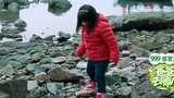 《爸爸去哪儿》 萌娃找螃蟹 Angela与贝壳对话