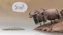 搞笑创意动画Wildebeest