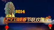 2014辽宁卫视春晚