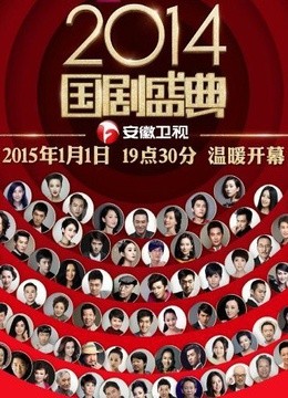2015安徽卫视国剧盛典
