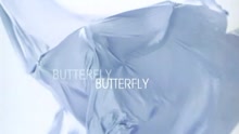 裘海正 - Butterfly