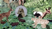【阿津】meadow动物扮演游戏-心灵祥和