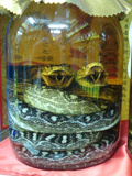 越南让人闻风丧胆的蛇蝎酒
