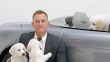 丹尼尔·克雷格和萌犬拍公益广告片