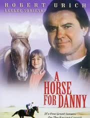 丹尼的马