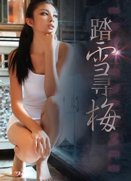 踏雪寻梅}