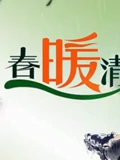 春暖清明}