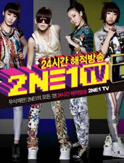 2NE1TV 2010