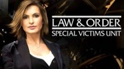 法律与秩序：特殊受害者第8季