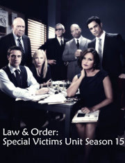 法律与秩序：特殊受害者第15季
