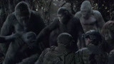 猩球崛起3：终极之战（片段）凯撒彰显首领风范