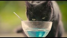小男孩睁开眼睛看到喝糖水的猫猫