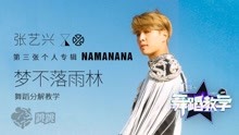 [图]张艺兴爆火抖腿舞《NAMANANA（梦不落雨林》舞蹈完整版教学