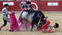 斗牛场里的意外事件，斗牛不成反被撸，斗牛士失败时的悲惨瞬间！