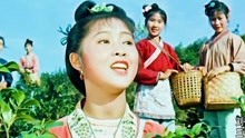 1960老电影《刘三姐》原声插曲《采茶姑娘上茶山》