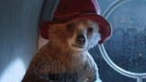 熊熊头上戴的红帽子居然是那个探险家的  这下就有可能找到他了！