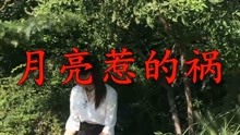 月亮惹的祸曲谱_张宇月亮惹的祸海报(2)