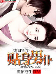 女白领的贴身男仆