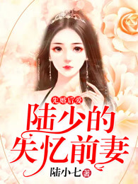 先婚后爱 ，陆少的失忆前妻