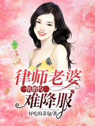 一纸婚约：律师老婆难降服