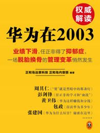 华为在2003