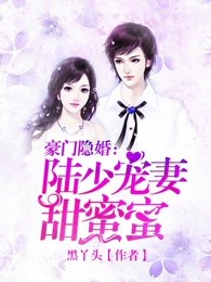 豪门隐婚：陆少宠妻甜蜜蜜