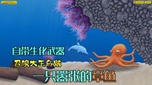 美味汪洋：发现一只嚣张的章鱼，自带生化武器，还会召唤大王乌贼