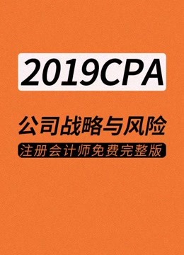 2019CPA注册会计师-公司战略与风险管理