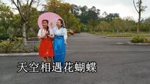 [图]云南山歌《蜻蜓蝴蝶双双飞》民间小调，唱得太好听了