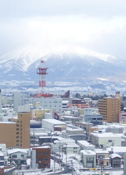 MINO直豆豆北海道浪漫雪季--人文，吃播，美景，趣闻，一网打尽