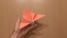 简单孔雀的折纸方法