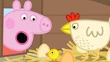 小猪佩奇-儿童游戏-第6季 ep365 小猪佩奇过大年