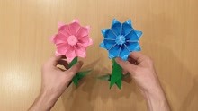 美丽菊花的制作方法1