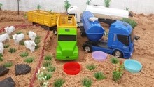 小汽车儿童玩具：油罐车和大货车在这里干嘛，是迷路了吗？