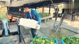 高能少年团：王俊凯送菜，这也太重了吧，为了搬菜形象都不要了