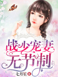 战少宠妻无节制