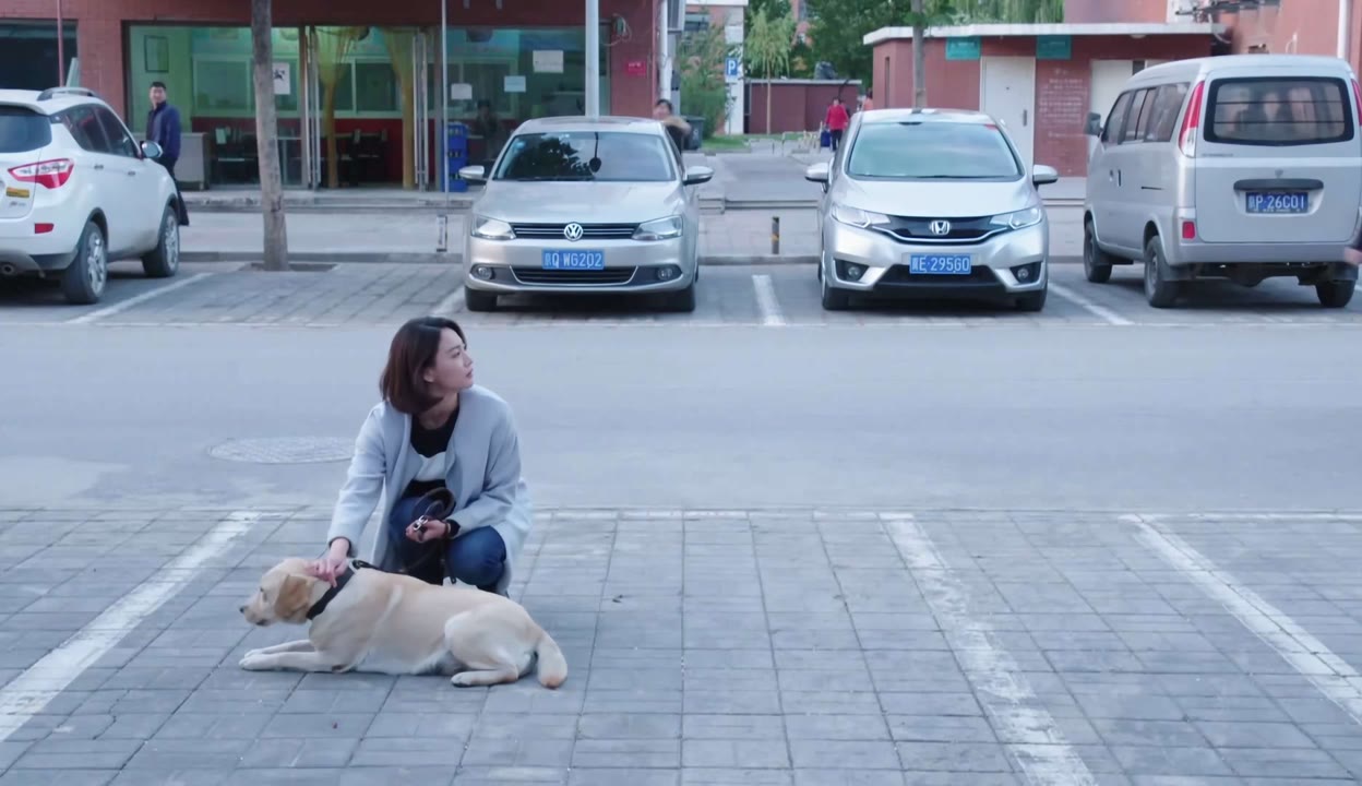 警犬樱桃的真主人照图片