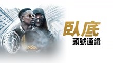 線上看 臥底：頭號通緝 (2019) 帶字幕 中文配音，國語版