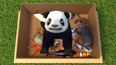 教你认识在动物园里生活的熊猫玩具