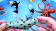 带你认识在海洋里生活的斑海豹玩具