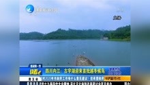 四川内江:古宇湖迎来首批越冬候鸟