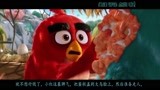 三分钟看完优秀动画《愤怒的小鸟》！