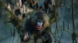 勇敢者游戏2：狂暴狒狒去掉特效后竟是长这样，难怪强森会笑场！