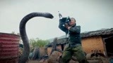 变异狂蟒:导演组被巨蟒追着跑，原来都是因为男子拿了它的蛇蛋