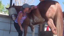 女饲养员给马洗澡，