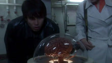 日本男人30岁才听说，自己只剩个脑子，活在培养缸里