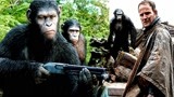 6分钟看完《猩球崛起2》曾被用来实验的猩猩，准备奴役人类